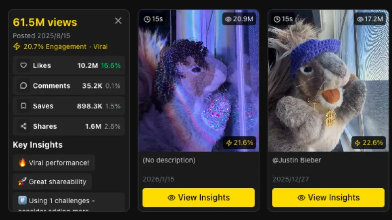 Profile & Video Analytics — Product screenshot placeholder