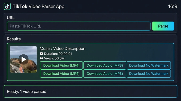 TikTok video download — save video file